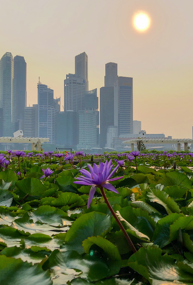 When the Haze Rolls In: What Southeast Asia's Air Teaches Us About Enterprise AI